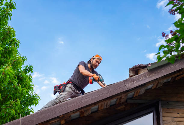 Best Asphalt Shingle Roofing  in Bangor, MI